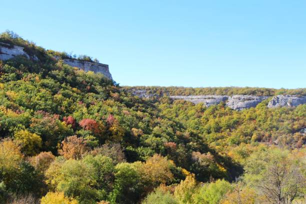 istock Autumn forest in Crimea 1135680440