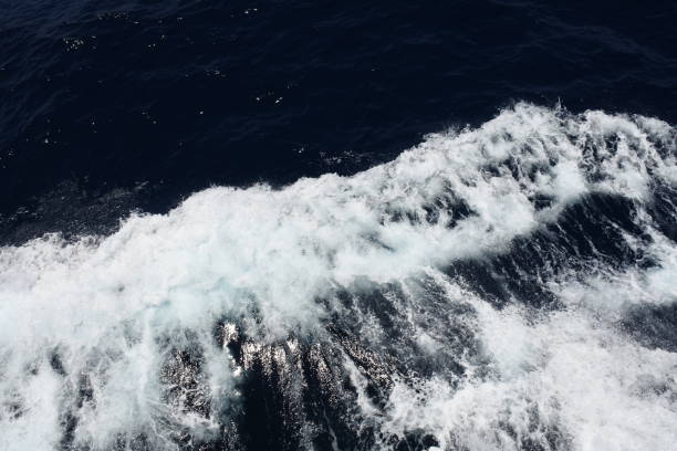 istock sea ​​waves in high speed with lowkey tones 1135680630