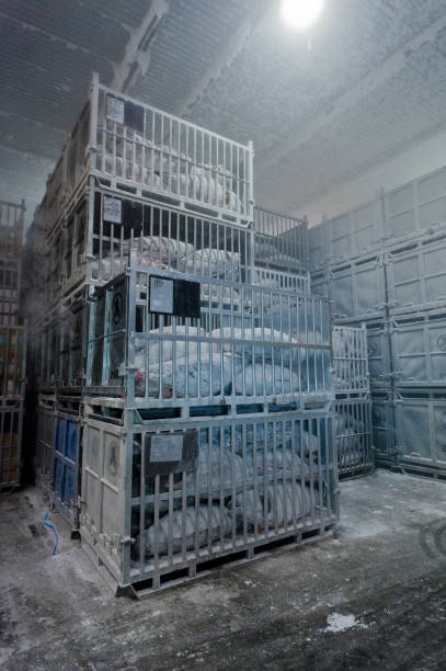 istock Freezing storage of tuna 1135682862