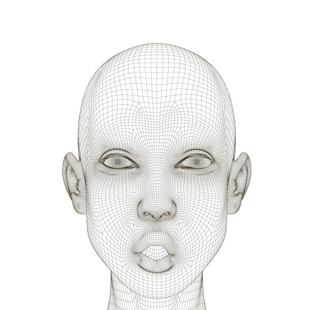 Wireframe of a girl head with a surprised expression and open mouth. Polygonal girl head isolated on white background. 3D. Vector illustration Wireframe of a girl head with a surprised expression and open mouth. Polygonal girl head isolated on white background. 3D. Vector illustration. dumb-robot stock illustrations