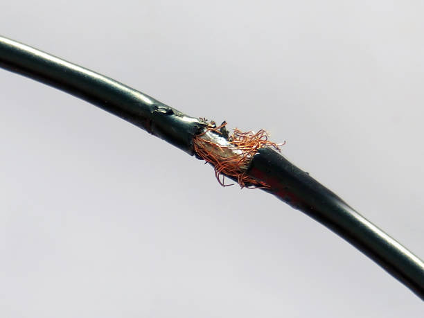 istock Damaged black electric cord on light background. Dangerous broken power electrical cable 1135687820