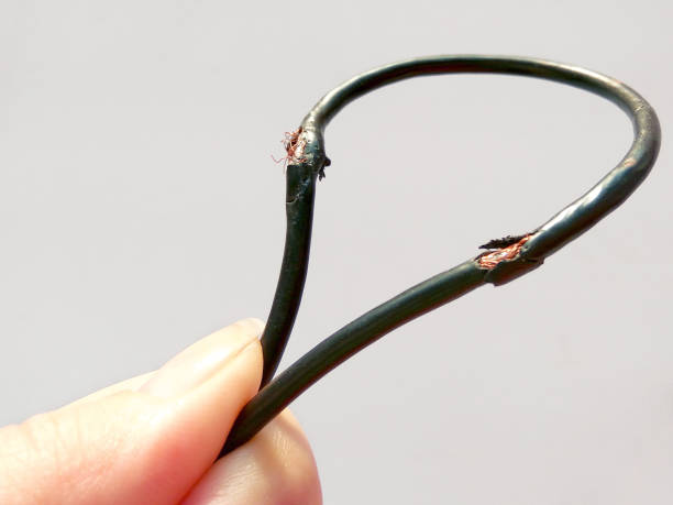 istock Damaged black electric cord on white background. Dangerous broken electrical cable 1135687865