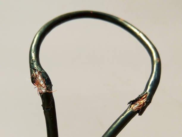 istock Damaged black electric cord on white background. Dangerous broken electrical cable 1135687939