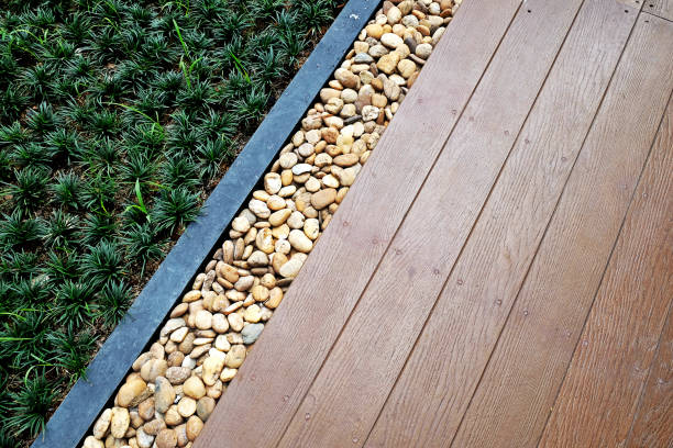 istock The way path in outdoor green grass park 1135688822