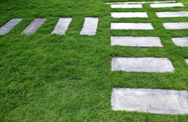 istock The way path in outdoor green grass park 1135688831