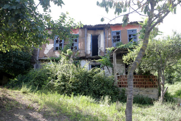 istock Brick House in the Forest 1135690031