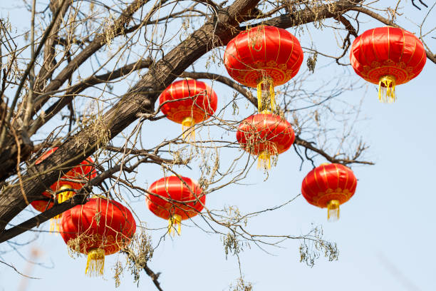 istock Traditional Chinese New Year Lanterns, Auspicious and Happy Red Lanterns 1135691721