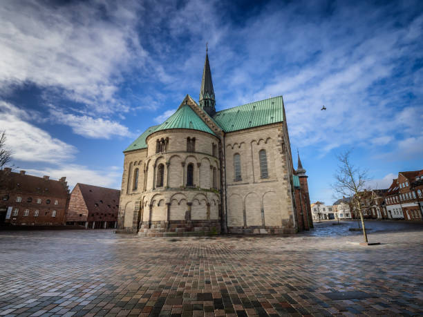 Cathedral in old medieval city Ribe, Denmark Cathedral in medieval city Ribe, Denmark ribe town photos stock pictures, royalty-free photos & images