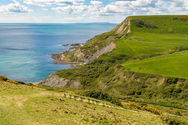 istock Near Chapman's Pool, Jurassic Coast, Dorset, UK 1135694949