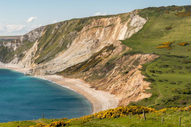 istock Worbarrow Bay, Jurassic Coast, Dorset, UK 1135694969