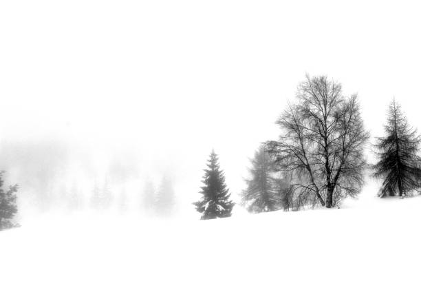 istock Nature of Italy 1135698989
