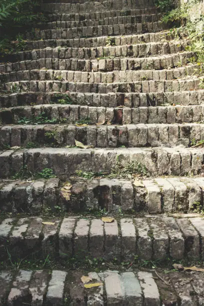 Old stone staircase made of small bricks. Beautiful details and greenery around every step.