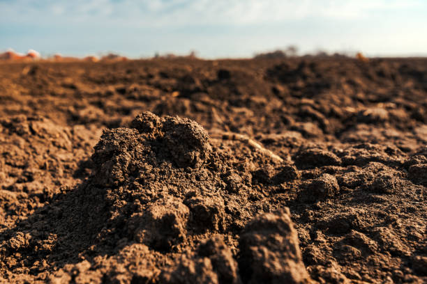 istock Plowed land ready for sowing season 1135700136