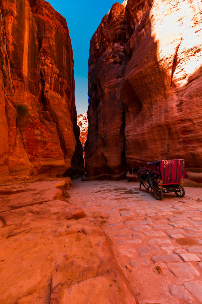 Tourist transport (carriage) at famous Petra site. Petra, Jordan