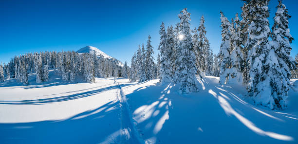 istock winter landscape deep snow mountain panorama 1135700503