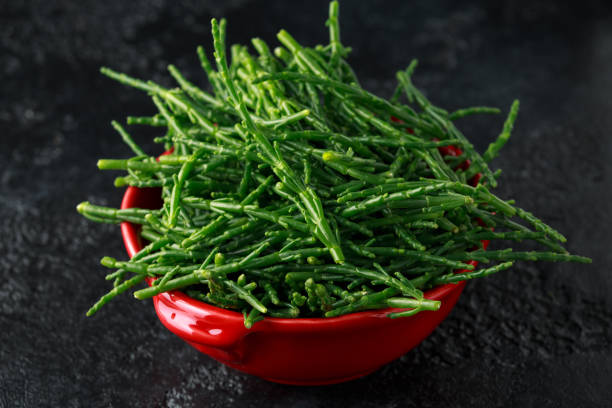 Fresh samphire in a red bowl on black background Fresh samphire in a red bowl on black background. salicornia stock pictures, royalty-free photos & images