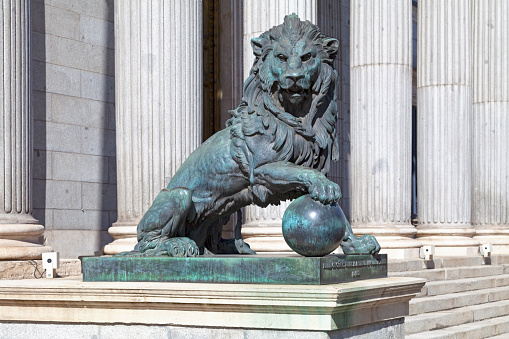 One of the bronze lions that flank the entrance of the Palacio de las Cortes (Building where the Spanish Congress of Deputies meet). The statue was created by Ponciano Ponzano in 1865.