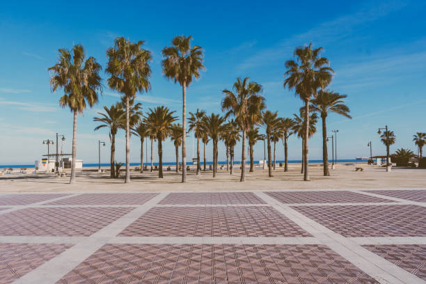 Malvarrosa beach in Valencia,Spain Picturesque urban beach very close to the city centre of Valencia promenade stock pictures, royalty-free photos & images