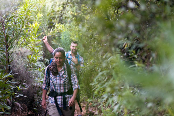 istock Hikers walking a hiking trail in the morning 1135710610