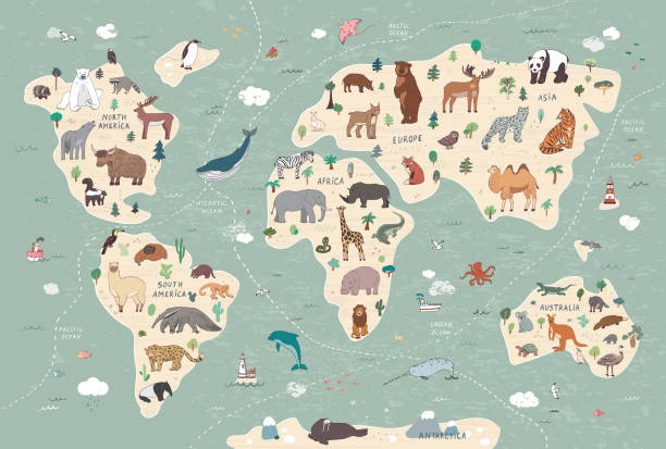 zwierzęta na mapie świata zestaw ilustracji - animal doodle bear kangaroo stock illustrations