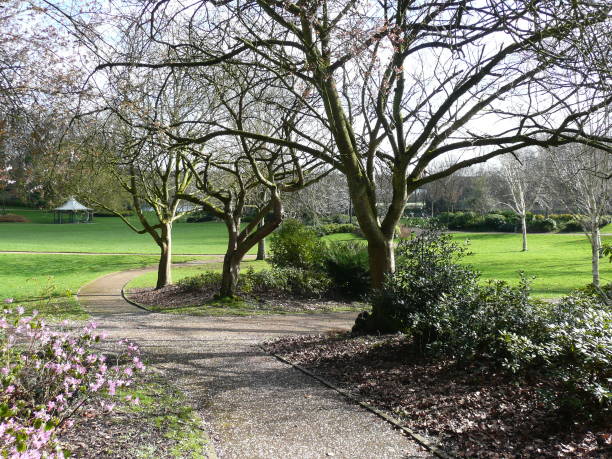 istock A springs day in Avenham Park, Preston 1135714056