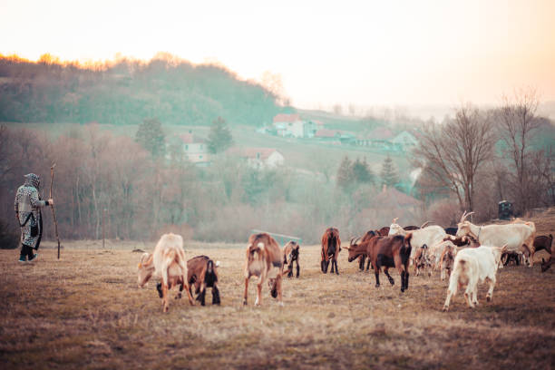 istock Young Shepherd With Herd Of Goats 1135714191