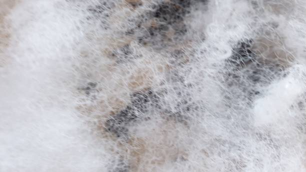 istock Abstract with specks of coffee and white fleeece texture on plain background 1135716242