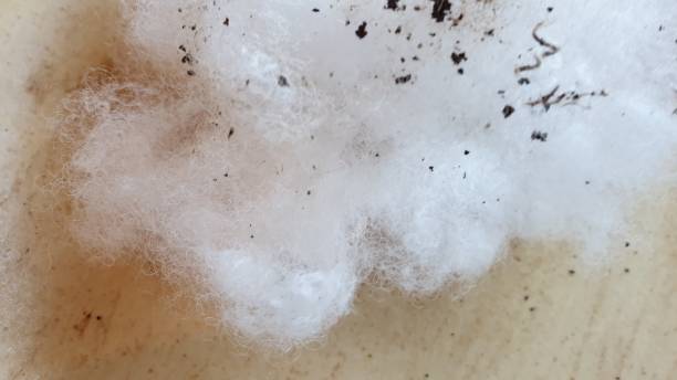 istock Abstract with specks of coffee and white fleeece texture on plain background 1135716361