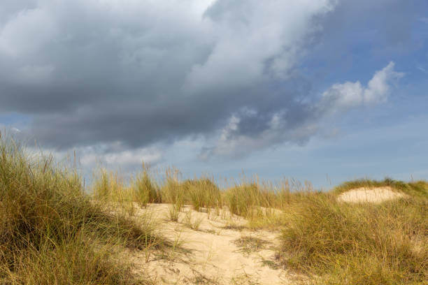 istock Wonderful dune landscape Cala Mesquida Mallorca Spain 1135716381