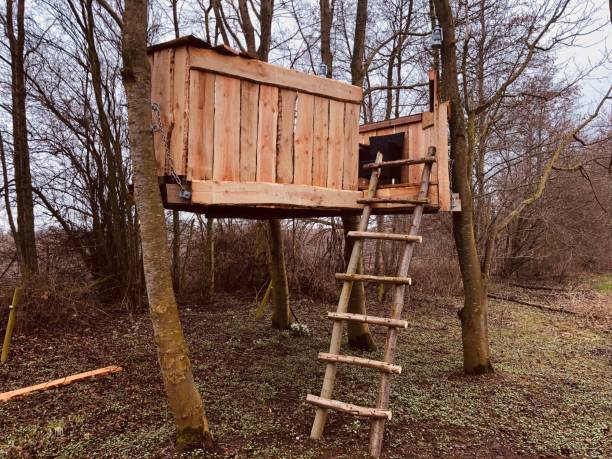 Wooden treehouse in garden stock photo