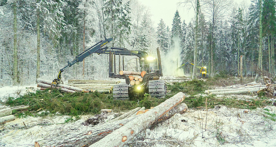 Logs scattered on the ground on the forest with the log grappler truck gettings logs