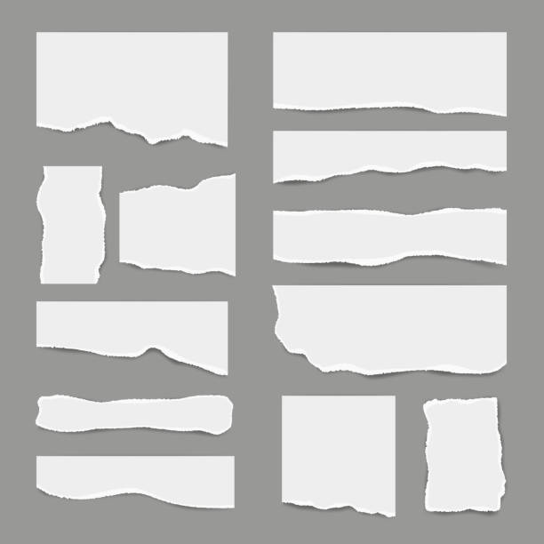 ilustraciones, imágenes clip art, dibujos animados e iconos de stock de papel blanco rasgado. papel de nota de desecho ligero roto para las notas piezas vector realista imágenes para banners - chatarra