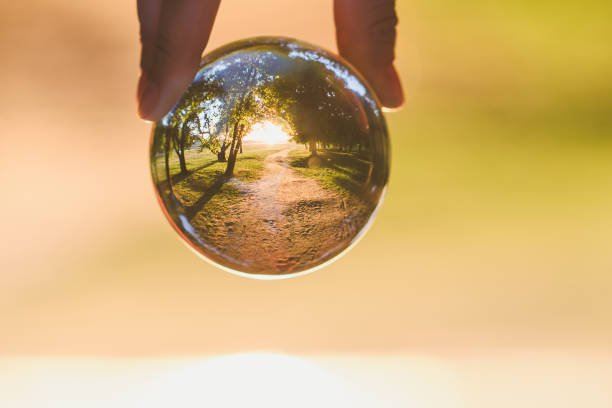 istock Cropped Hand Holding Crystal Ball With Road And Trees Reflection 1135736233