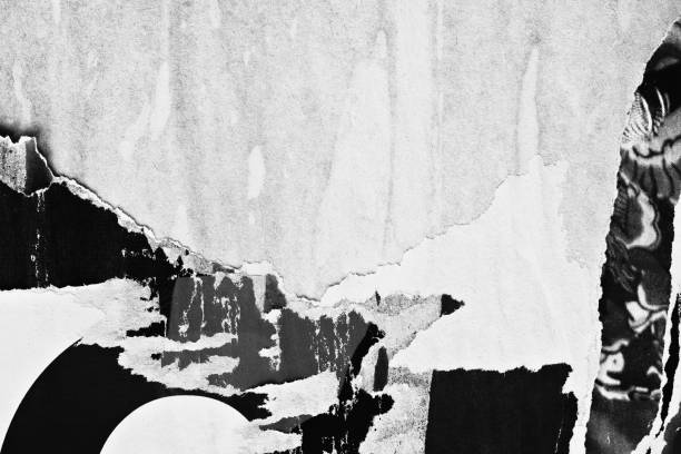 blanco en blanco negro viejo rasgado papel roto arrugado carteles con textura grunge texturas telón de fondo fondos cartel - paint rough peeling grunge fotografías e imágenes de stock