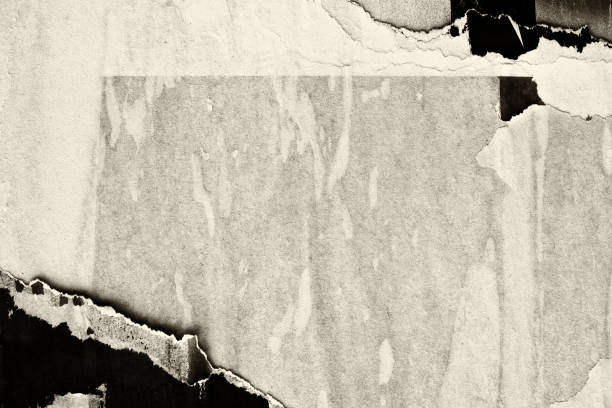 istock Blank brown beige old paper crumpled creased ripped torn posters grunge textures backdrop backgrounds 1135736830