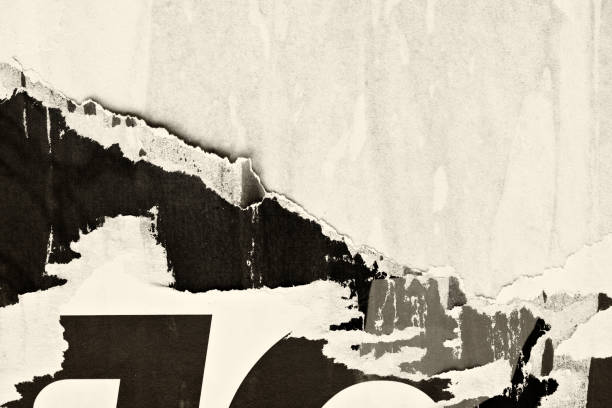 istock Blank brown beige old paper crumpled creased ripped torn posters grunge textures backdrop backgrounds 1135736844