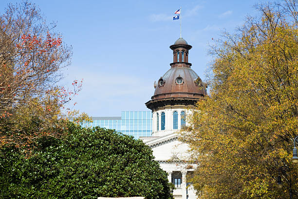 istock State Capitol Building in Columbia 113573806