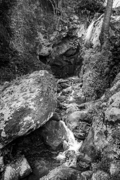 istock Stream under sunlight Crete Greece Europe 1135739128