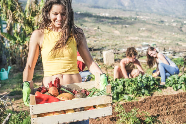 équipe heureuse récoltant des légumes frais du jardin communautaire de serre chaude et ensemencement pour la saison prochaine produits biologiques-focus sur le visage de fille gauche-mode de vie sain, concept environnement - country market photos et images de collection