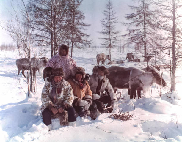 家族チャクチトナカイ牧畜民ロシアの遠い北の人々。 - great grandchild ストックフォトと画像