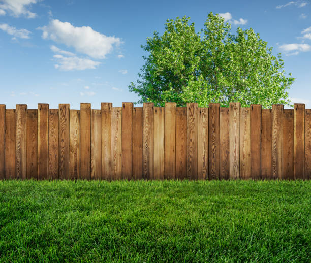 spring tree in backyard and wooden garden fence stock photo