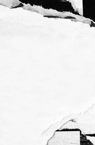 istock Blank white black old ripped torn paper crumpled creased posters grunge textures backdrop backgrounds placard 1135744624