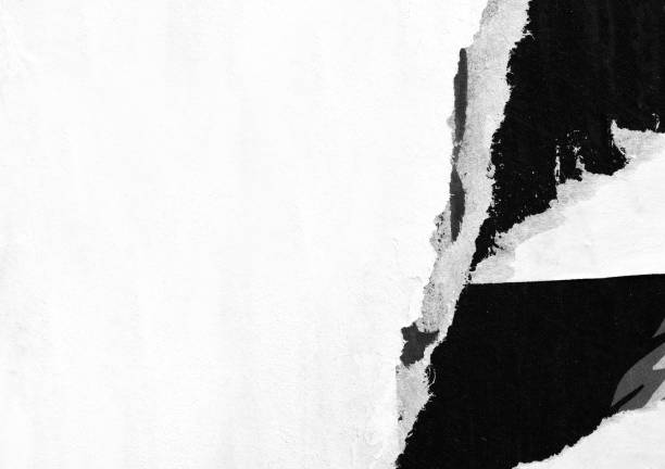istock Blank white black old ripped torn paper crumpled creased posters grunge textures backdrop backgrounds placard 1135744669