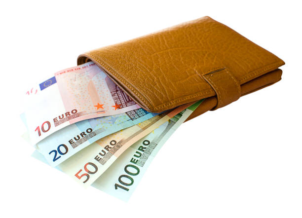 istock Brown leather wallet with Euro banknotes on white background 1135746160
