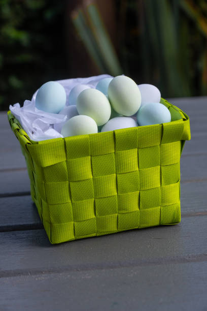 huevos de chocolate en una cesta de presentación verde - picnic basket christianity holiday easter fotografías e imágenes de stock