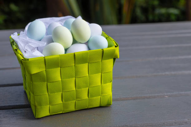 ovos de chocolate em uma cesta verde da apresentação - picnic basket christianity holiday easter - fotografias e filmes do acervo