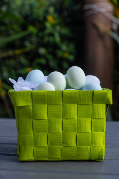 huevos de chocolate en una cesta de presentación verde - picnic basket christianity holiday easter fotografías e imágenes de stock