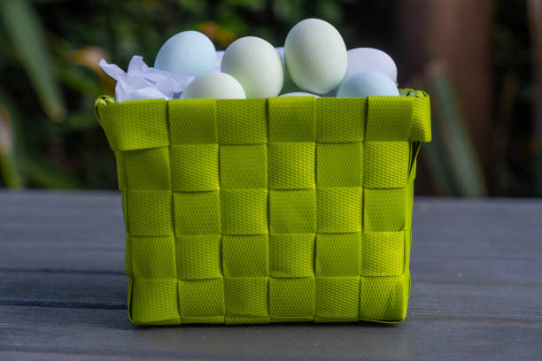 huevos de chocolate en una cesta de presentación verde - picnic basket christianity holiday easter fotografías e imágenes de stock