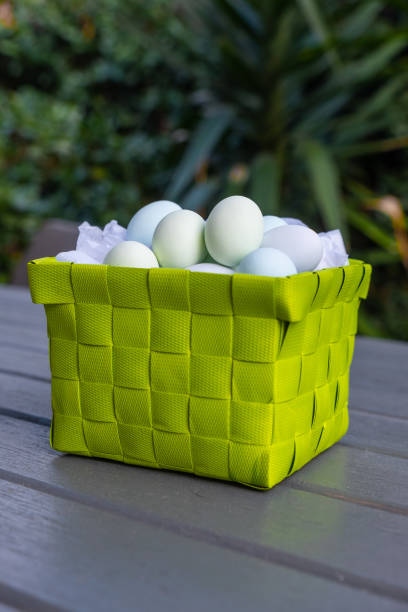 ovos de chocolate em uma cesta verde da apresentação - picnic basket christianity holiday easter - fotografias e filmes do acervo