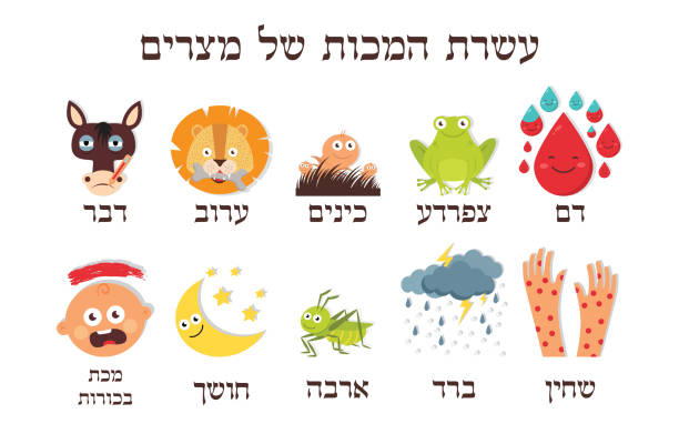 히브리어로 이집트의 유월 절 10 재앙-벡터 - locust stock illustrations